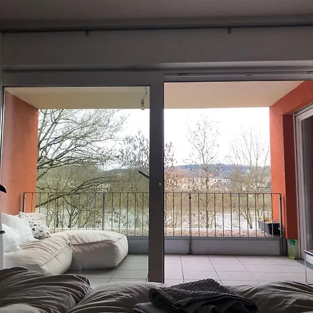 Schickes Mit Moselblick 아파트 트리어